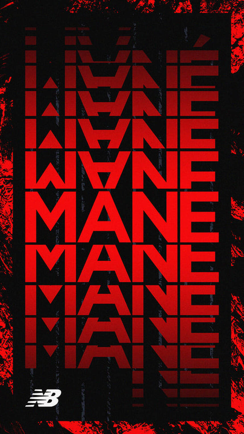 typographic artwork made from the word mane 