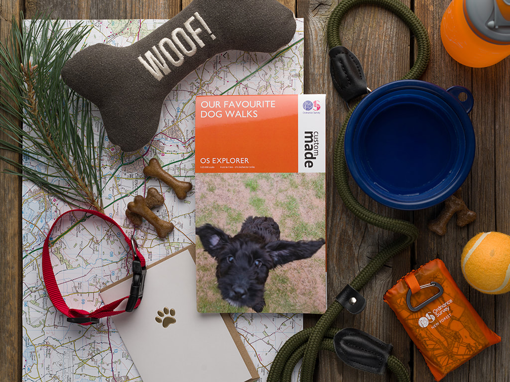 sordnace survey maps photographed froma bove and styled with dog themed items